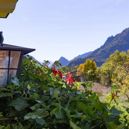 Deva Hotel-restaurant Fischerwirt Inklusive Chiemgau Card Hotell 3*