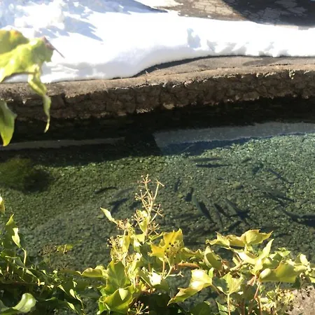 Deva Hotel-restaurant Fischerwirt Inklusive Chiemgau Card Отель